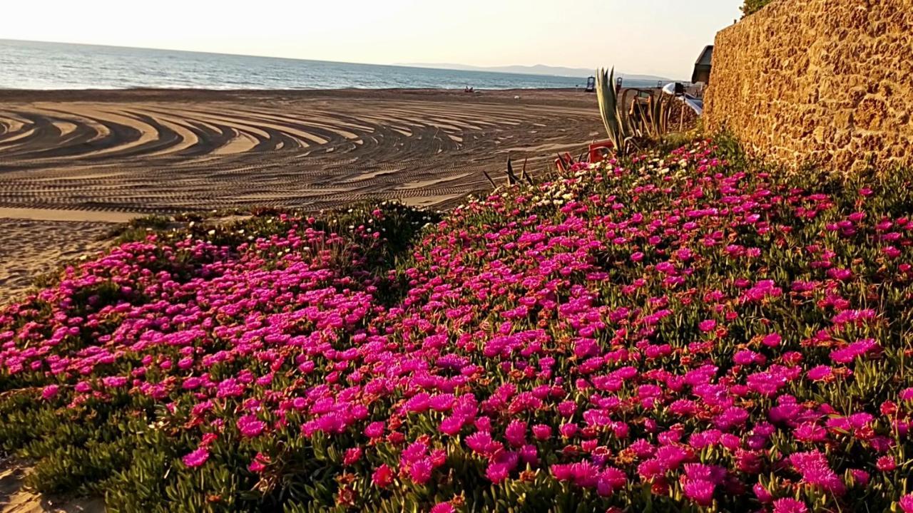 Hotel Lupo Di Mare Marina di Castagneto Carducci Exteriér fotografie