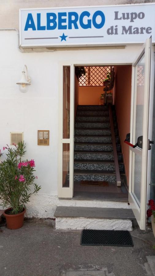Hotel Lupo Di Mare Marina di Castagneto Carducci Exteriér fotografie